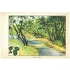 Image 2 : 1920's Black Alder Color Lithograph Print