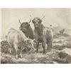 Image 1 : Vintage c1920â€™s half-tone print, #547 Denizens of the Highlands