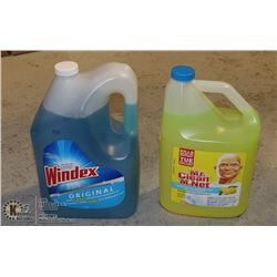 MR CLEAN/WINDEX 5 GAL