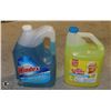 Image 1 : MR CLEAN/WINDEX 5 GAL