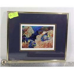 "QUEEN ANGEL FISH" DOUBLE MATTED ART PRINT FRAME