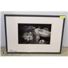 Image 1 : JELLY FISH IRENE SUCHOCKI FRAMED MATTED