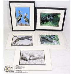 LOT OF 5 D.ELSASSER WILDLIFE PRINTS