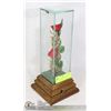 Image 1 : VINTAGE ROSES IN GLASS CASE MUSICAL, PLAYS