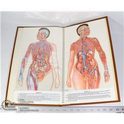 1958 ANTIQUE "TRANS-VISIONS OF ANATOMICAL