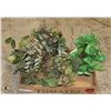 Image 1 : FLAT OF DECORATIVE PLANTS