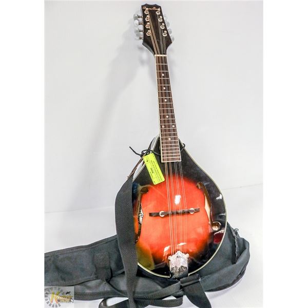 VINTAGE MANDOLIN BEAVER CREEK 8 STRING WITH CASE