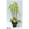 Image 1 : ARTIFICIAL ORCHID 29" TALL