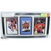 Image 1 : FRAMED ADAM LARSSON AUTOGRAPH DISPLAY, 15 X 8