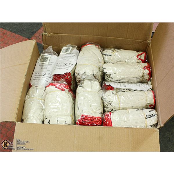 CASE W/APPROX. 300 SZ SMALL FORCEFEILD WORKGLOVES