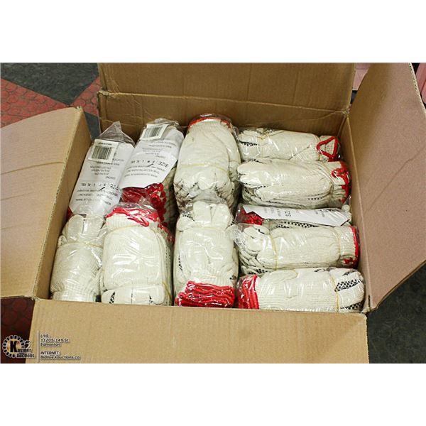 CASE W/APPROX. 300 SZ SMALL FORCEFEILD WORKGLOVES