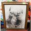 Image 1 : 'BUCKBRUSH WHITETAIL' CHARCOAL PAINTING SIGNED