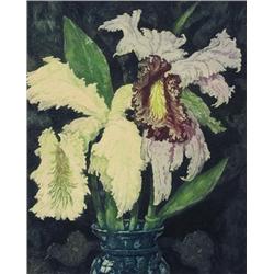 Nicholas Hornyansky - ORCHIDS