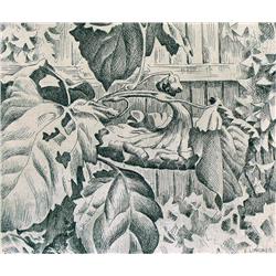 Ernest Lindner - SUNFLOWER