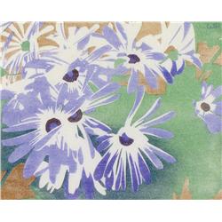 Walter Joseph Phillips - CINERARIA