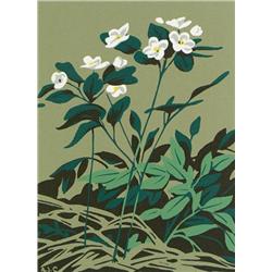 Alfred Joseph Casson - FIVE CHRISTMAS CARDS, FLORAL MOTIF