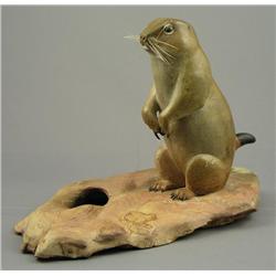 Francis (Frank) Lyman Beebe - PRAIRIE DOG