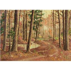 Otto Planding - UNTITLED (FOREST INTERIOR)