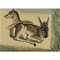 Illingworth Holey Kerr - TWO YOUNG ANTELOPES, CALGARY ZOO