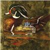 Image 1 : Jack Cowin - UNTITLED (WOOD DUCK)