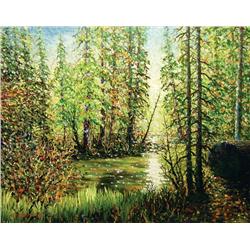 Stephen Hynes - BEAVER POND, KANANASKIS