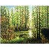 Image 1 : Stephen Hynes - BEAVER POND, KANANASKIS