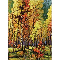 Rod Charlesworth - THE COLOURS OF SUNLIGHT