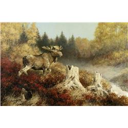 Robert A. Wyatt - UNTITLED (BULL MOOSE)