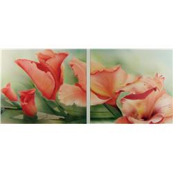 Maria Crossley - GLADIOLI