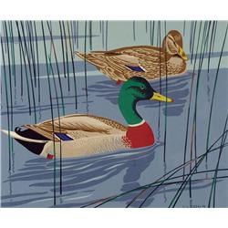 Alfred Joseph Casson - UNTITLED (MALLARDS)