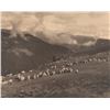 Image 1 : Charles Belden, two photographs