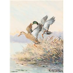 Roland Clark, oil
