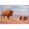 Image 1 : Dave Hodges, oil on canvas