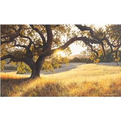 Adair Payne, oil on canvas