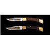 Image 1 : Lot of 2 Ltd. Ed. Buck 110 Hunter Knives