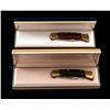 Image 2 : Lot of 2 Ltd. Ed. Buck 110 Hunter Knives