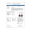 Image 4 : 31.74 ctw Certified Ruby & Diamond Victorian Earrings 14K White Gold - REF-646A4N