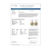 Image 4 : 3.36 ctw Fancy Yellow Diamond Earrings 18K Yellow Gold - REF-453G8W