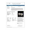 Image 4 : 1.5 ctw Intense Fancy Yellow Diamond Art Deco Earrings 18k White Gold - REF-245A5N