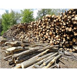 Michigan - Ten Pulp Cord of Firewood