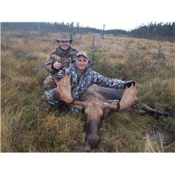 Newfoundland – 5 Day – Eastern Canada Moose and Black Bear Hunt for One