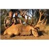 Image 1 : Argentina – 5 Day – Red Stag for Three Hunters