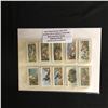 Image 1 : 1937 JOHN PLAYER & SONS (UK) COMPLETE SET OF TOBACCO CARDS (50) BIRDS AND THEIR YOUNG