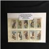 Image 1 : 1939 JOHN PLAYER & SONS (UK) COMPLETE SET OF TOBACCO CARDS (50) ANIMALS OF THE COUNTRYSIDE