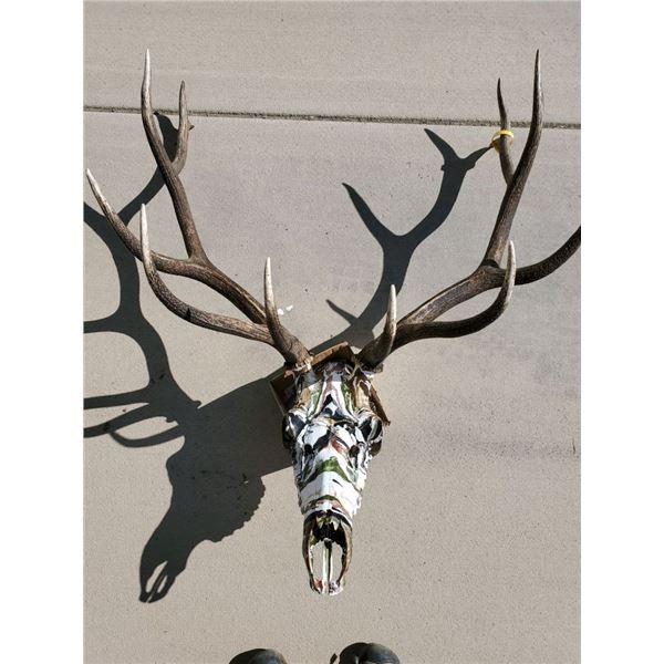 Hand Painted Elk Skull Mount