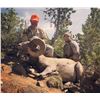 Image 1 : 2021 WYO Governor's Bighorn Sheep License