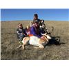 Image 1 : Private Land Youth Antelope Hunt