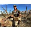 Image 2 : Mule Deer Hunt at La Palmosa for one from January 9-12,2022