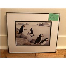 Puffin Cove by Dale Ryan 10” x 8”, Heritage Art Company, St. John’s NL