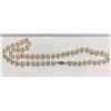 Image 1 : One Strand of Cultured Akoya Pearls
